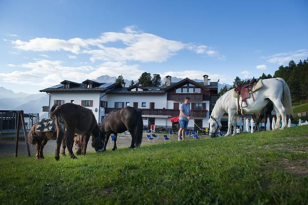 Hotel Gallo Cedrone Valdisotto